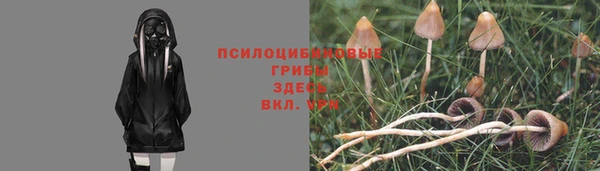 крисы Сосновый Бор