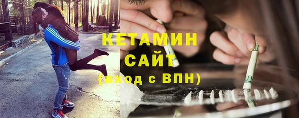 крисы Сосновый Бор