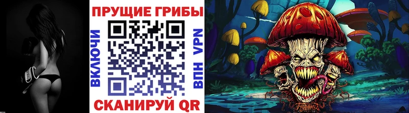 нарко площадка телеграм  Сясьстрой  Галлюциногенные грибы Magic Shrooms  закладки 